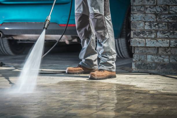Best Pre-Holiday Cleaning  in Allendale, MI