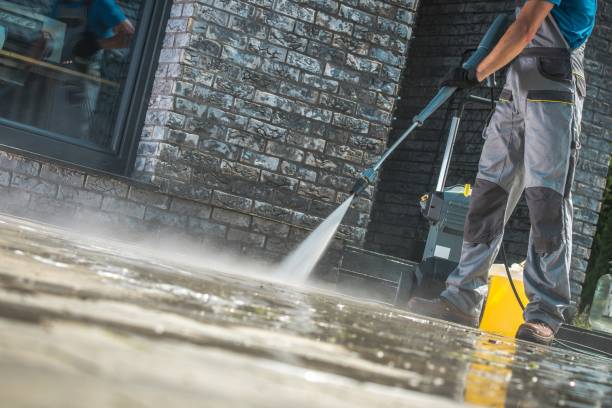 Best Roof Washing  in Allendale, MI